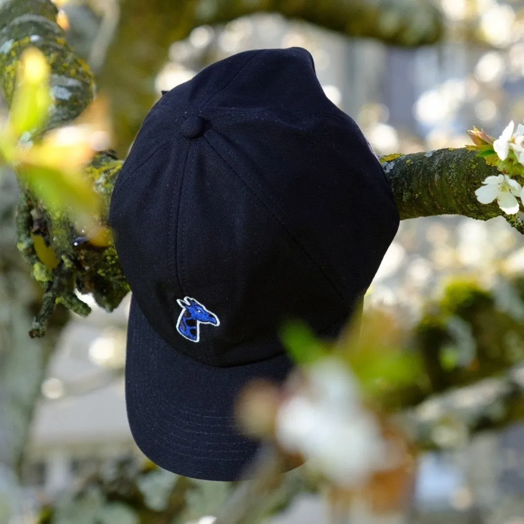 Casquette en coton bio