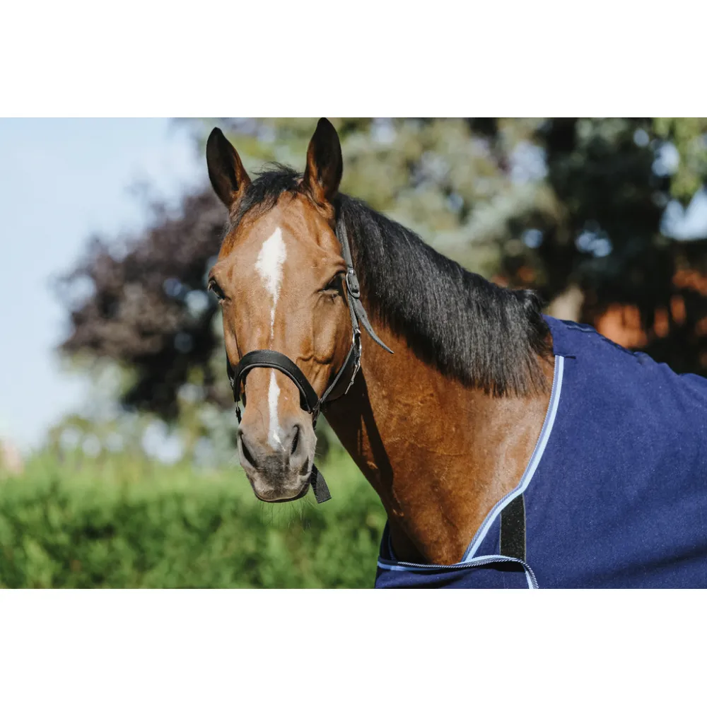 Chemise de présentation Riding World - PADD - CHEMISES POLAIRES - PADD