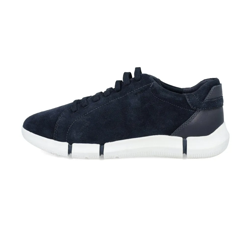 Geox U Adacter A - Suede