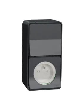 Mureva Styl Prise courant 2P+T+va et vient verti. saillie IP55 IK08 gris SCHNEIDER MUR36025