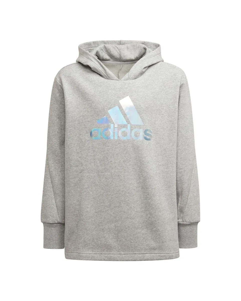 Sweatshirt manches longues Enfant G M HOODIE Gris